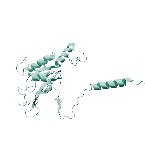 Q13253-Human Noggin-3d structure.jpg